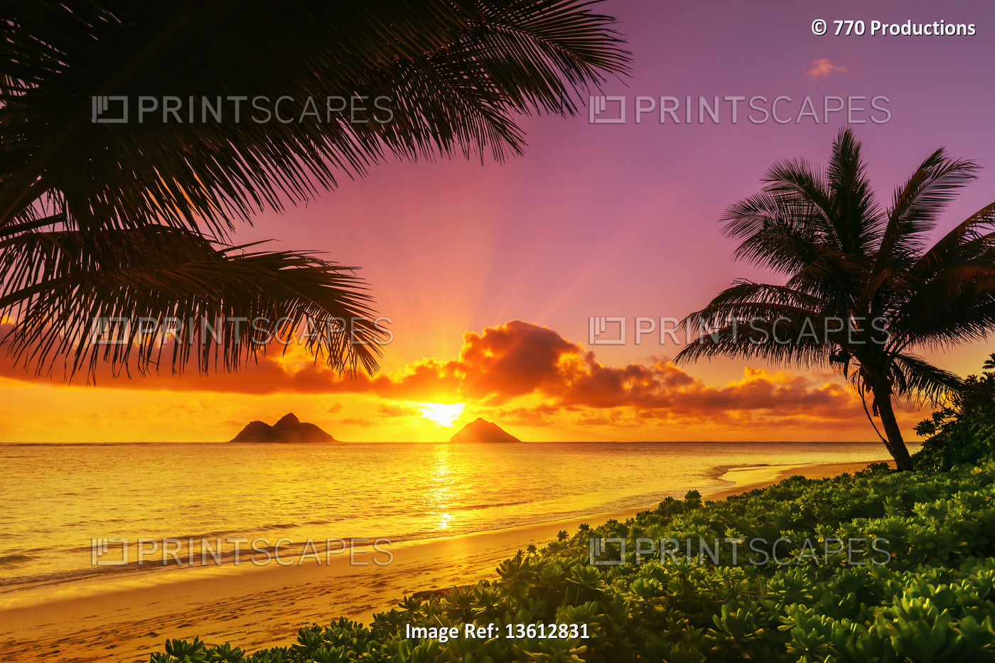 Lanakai Beach at sunrise, with the surf washing up on the golden sand and a ...