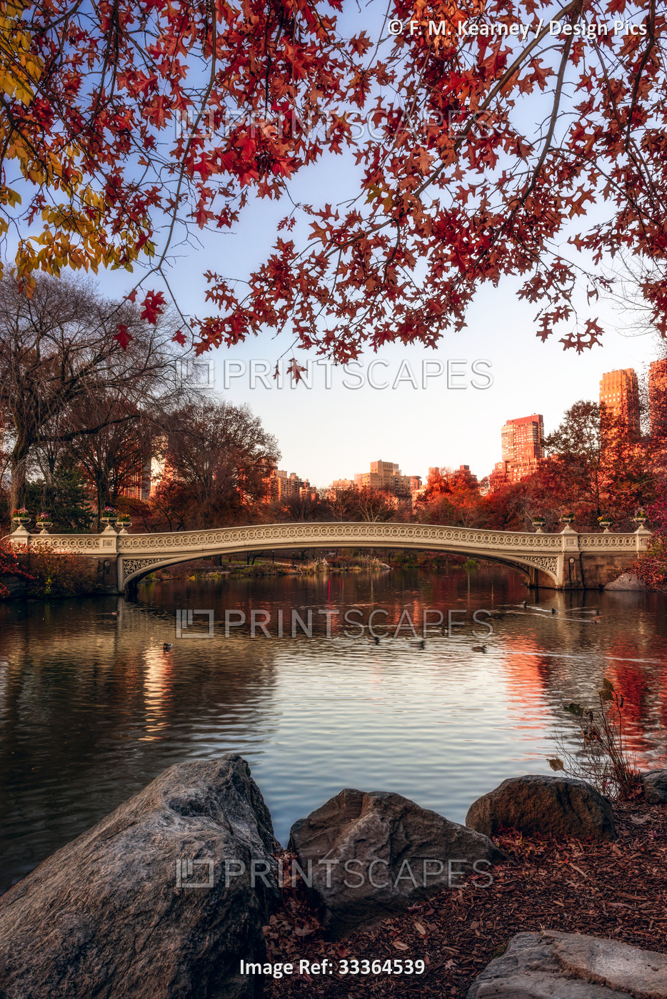 Autumn coloured foliage around Bow Bridge, Central Park; New York City, New ...