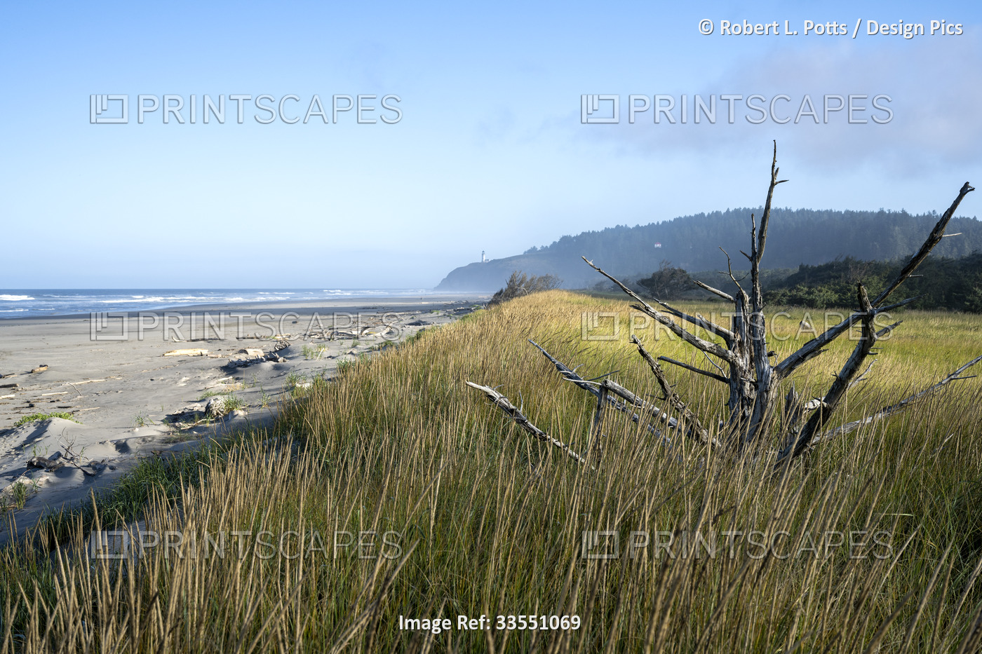 Sunlight plays along the beach at Cape Disappointment State Park in Washington, ...