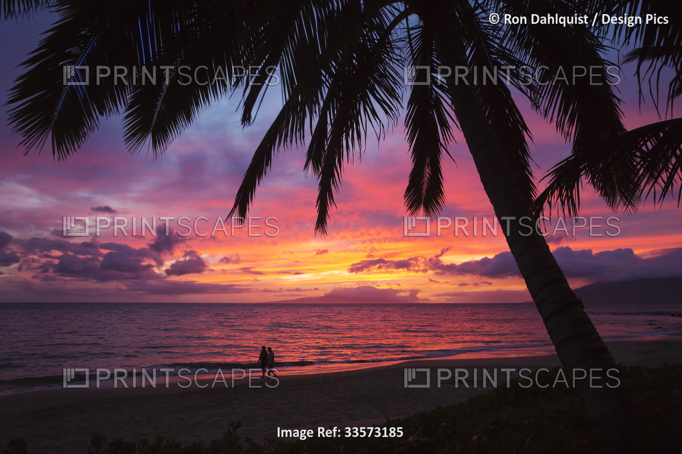 Silhouette of palm trees and two people watching the sunset on Keawakapu Beach; ...