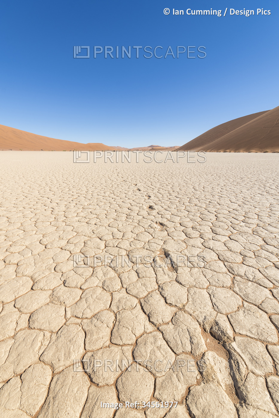 Dried footprints across Deadvlei; Sossusvlei, Namib-Naukluft Park, Namibia